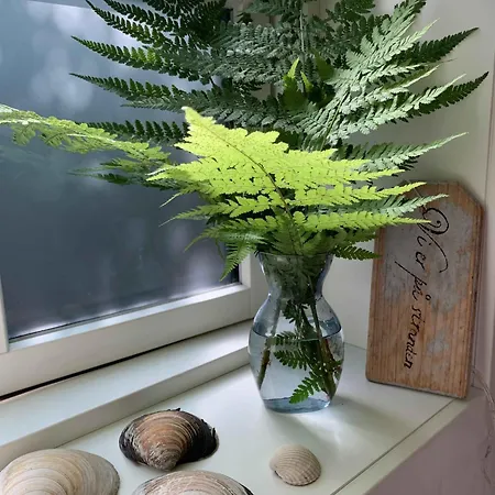 Beautiful From 2021 With A Lovely Seaview Casa vacanze Rønne