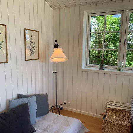 Beautiful From 2021 With A Lovely Seaview Casa vacanze Rønne